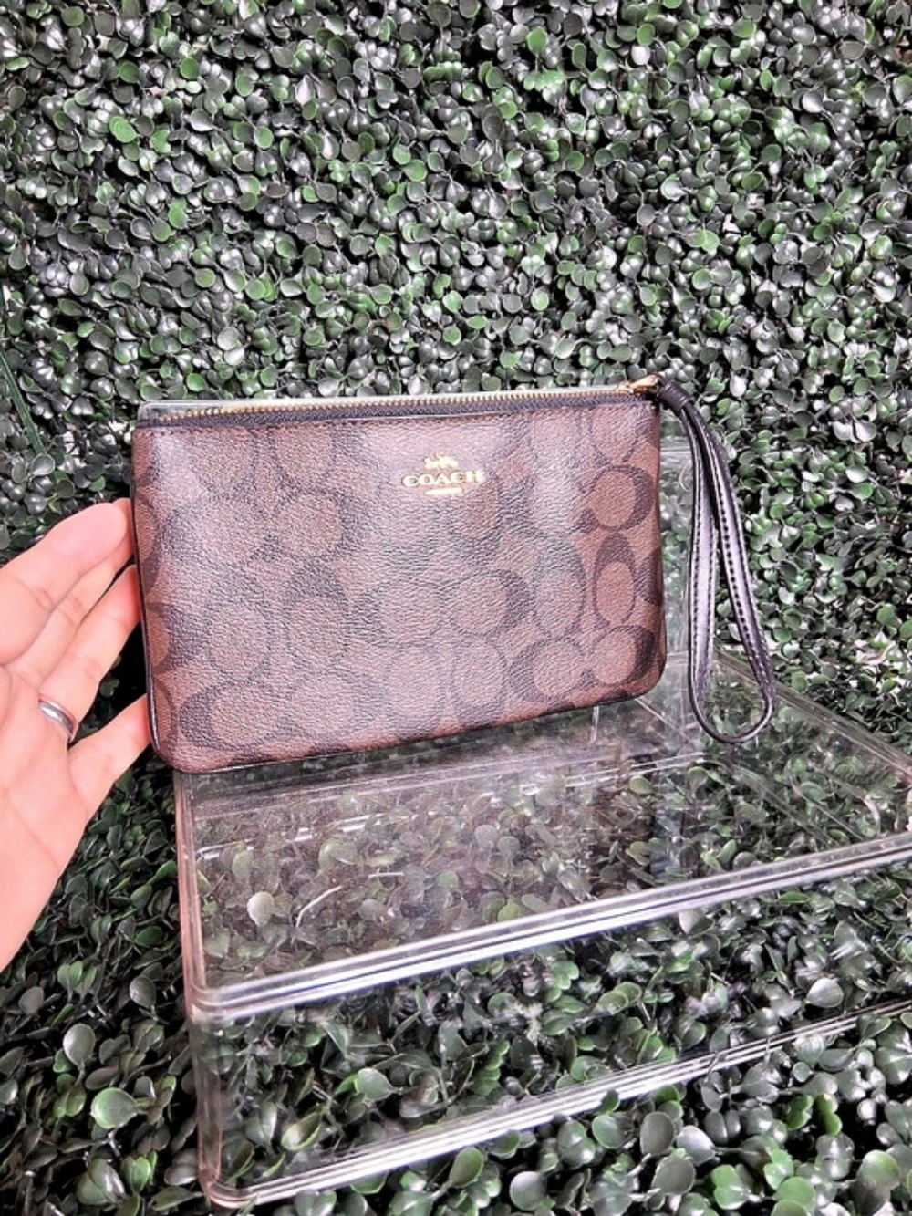 COACH Corner Zip Wristlet In Signature Canvas Brown